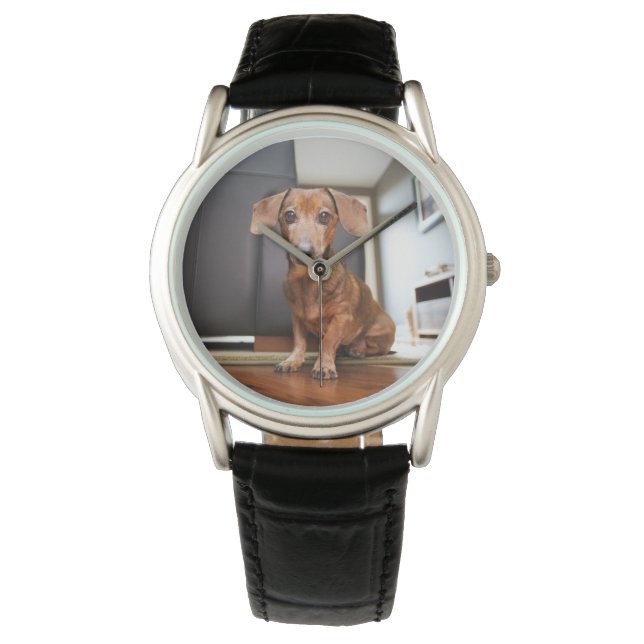 Montre Animaux de bébés cutest | Mini chiot (devant)