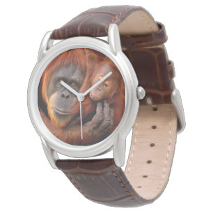 Montre Animaux de bébés cutest Orangutan Maman & Baby