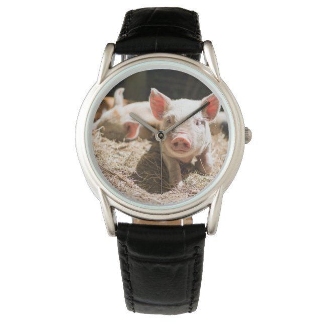 Montre Animaux de bébés cutest | Piglet bébé mignon (devant)