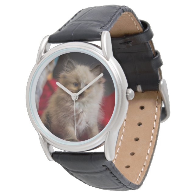 Montre Animaux de bébés cutest | Siamese Kitten (Incliné)