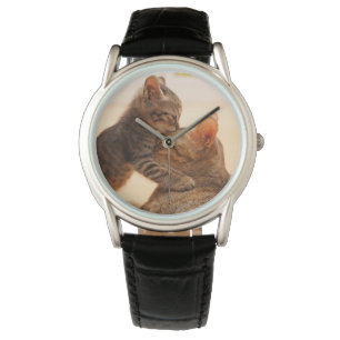 Montre Animaux de bébés cutest   Tabby Kitten Kiss