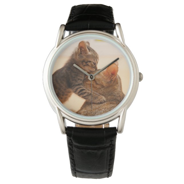 Montre Animaux de bébés cutest | Tabby Kitten Kiss (devant)