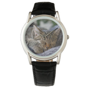 Montre Animaux de bébés cutest   Tabby Kitten Sommeil