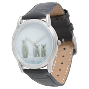 Montre Animaux de bébés cutest   Trois jeunes ours polair