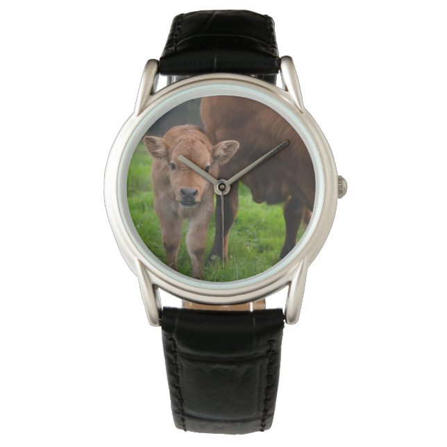 Montre Animaux de bébés cutest | Vache et veau (devant)