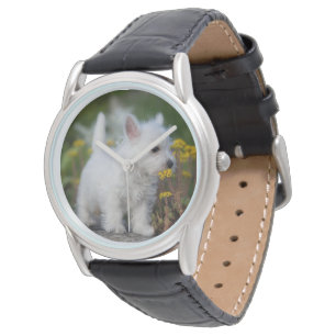 Montre Animaux de bébés cutest   West Highland White Terr