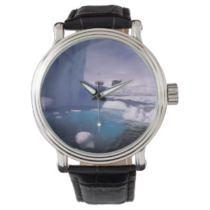 Montre Antarctique. Paysages glaciaires antarctiques 2