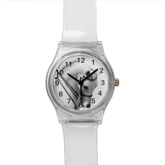 Montre Arabe majestueuse de cheval (Fermer)