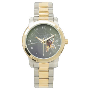 Montre - Araignée sur le Web