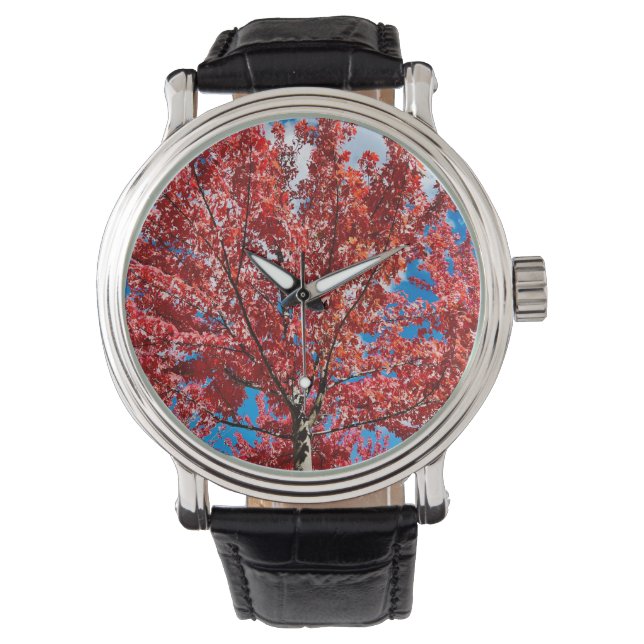 Montre Arbre à feuilles rouges à l'automne (devant)