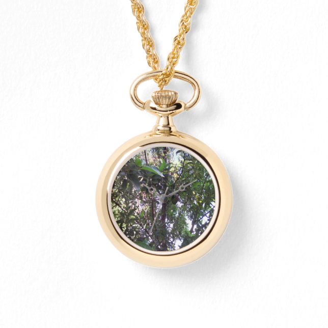 Montre Arbre Avocado (Recto)