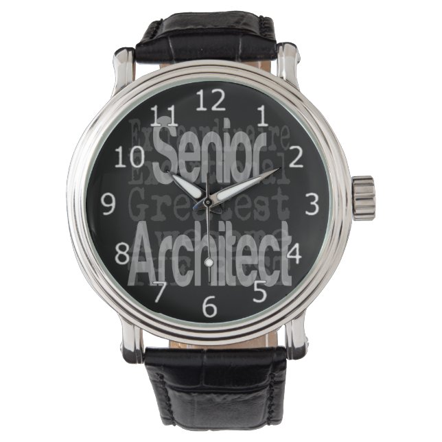 Montre Architecte principal Extraordinaire Watch (devant)