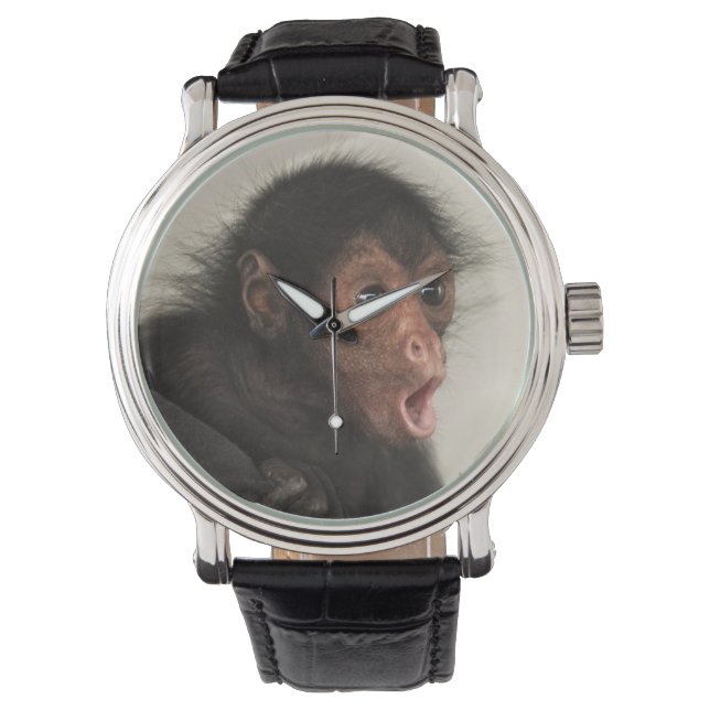 Montre Ateles paniscus à tête rouge) (devant)
