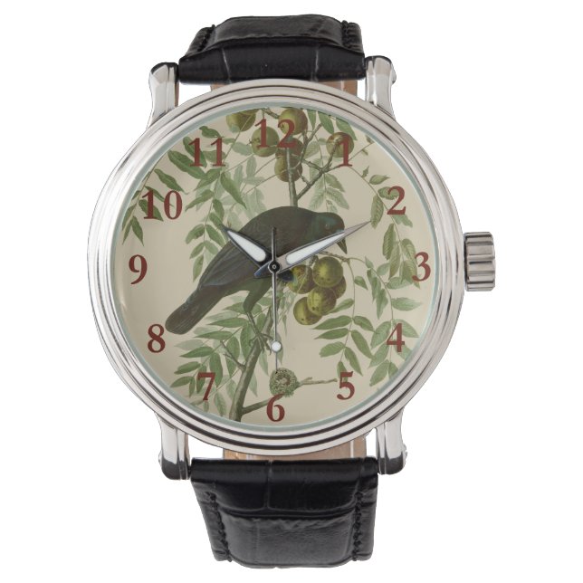 Montre Audubon American Crow Black Bird (devant)