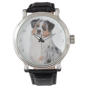 Montre Australian Shepherd Watch