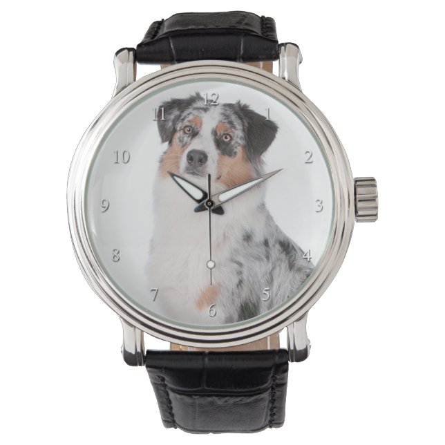 Montre Australian Shepherd Watch (devant)