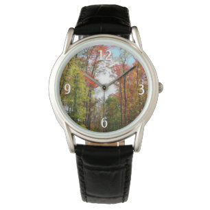 Montre Automnes Arbres et Ciel bleu Automne Photographie 