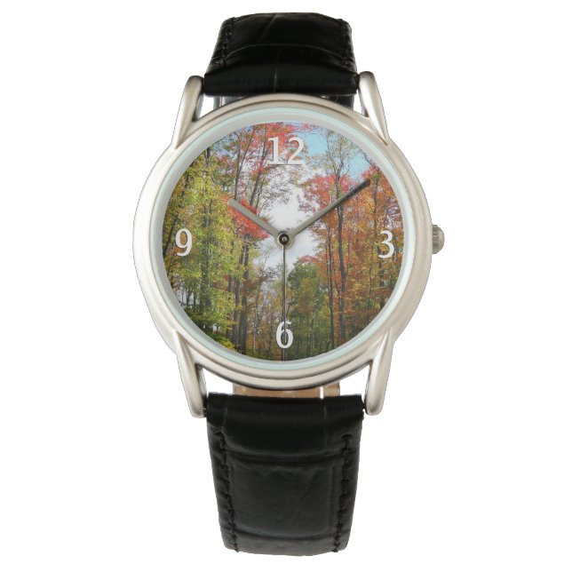 Montre Automnes Arbres et Ciel bleu Automne Photographie  (devant)