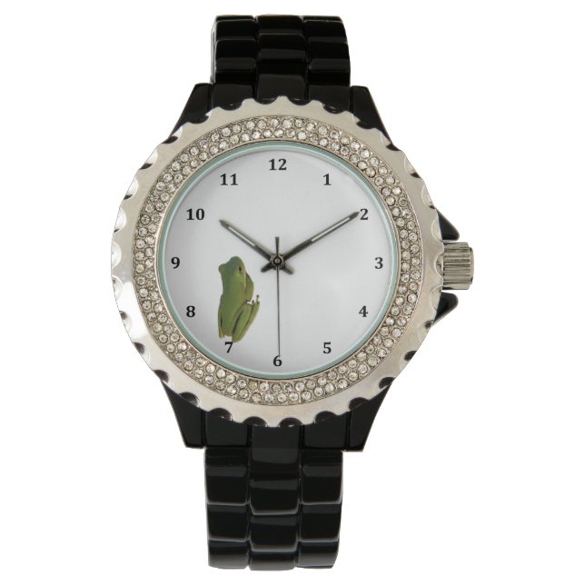 Montre avec grenouille à arbre minuscule (devant)