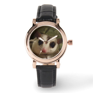 Montre avec planeur à sucre