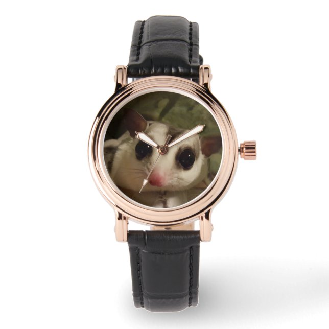 Montre avec planeur à sucre (Recto)