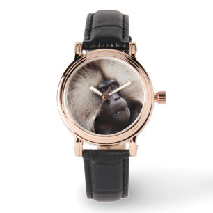 Montre Babouin gelada, Éthiopie