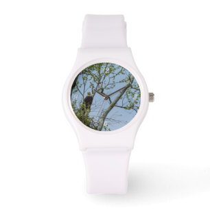 Montre Bald Eagle Smile