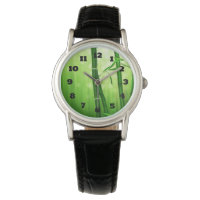 Bambou Vert Exotique Avec Lumières De Bokeh