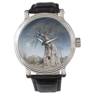 Montre Baobab dans le parc national des piscines de Mana,