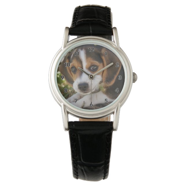 Montre Beagle Chien Chien Chien Chien Chien Chien Chien C (devant)