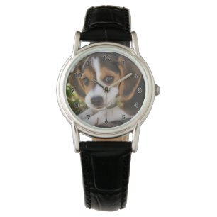 Montre Beagle de chiot