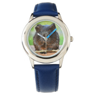 Montre Beau cobaye personnalisé d'agouti d'or