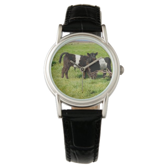 Montre Bébé Belted Vaches Galloway Dans Le Pays, (devant)