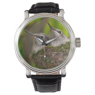 Montre Bébé hummingbirds