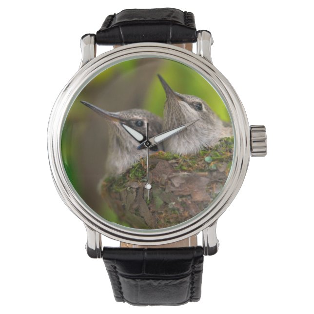 Montre Bébé hummingbirds (devant)