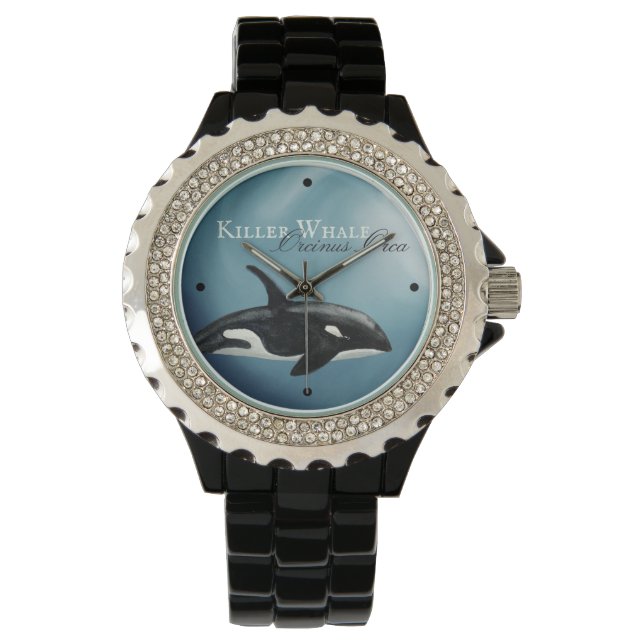 Montre Belle Aquarelle Tueuse Baleine, Orcinus Orca (devant)