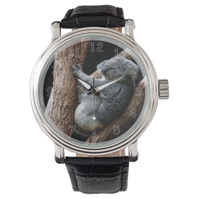 Montre Belle ours Koala dans un arbre (devant)