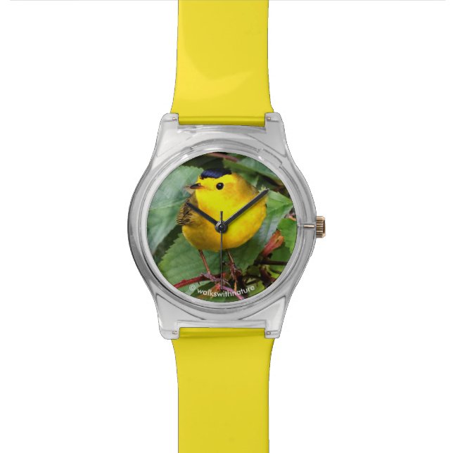 Montre Belle Paruline Wilson dans le cerisier (Fermer)