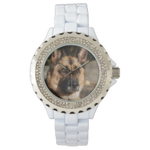 Montre Berger allemand vigilant