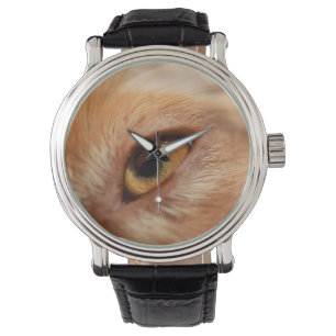 Montre Berger américain miniature, oeil rouge merle