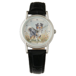 Montre Berger Australien Merle Queue Longue