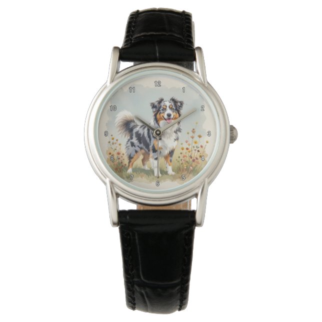 Montre Berger Australien Merle Queue Longue (devant)