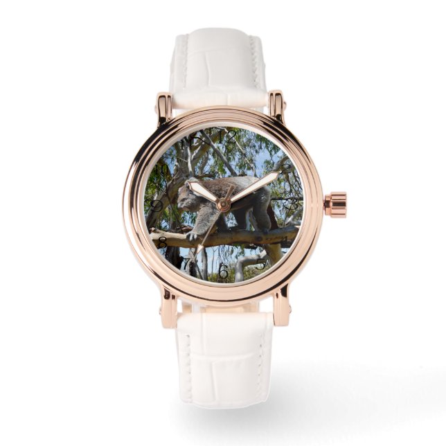 Montre Big Homme Australian Koala Bear, (Recto)