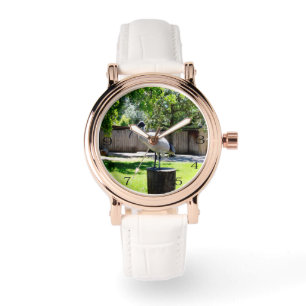 Montre Bin Chicken (ibis) sur une souche d'arbre,