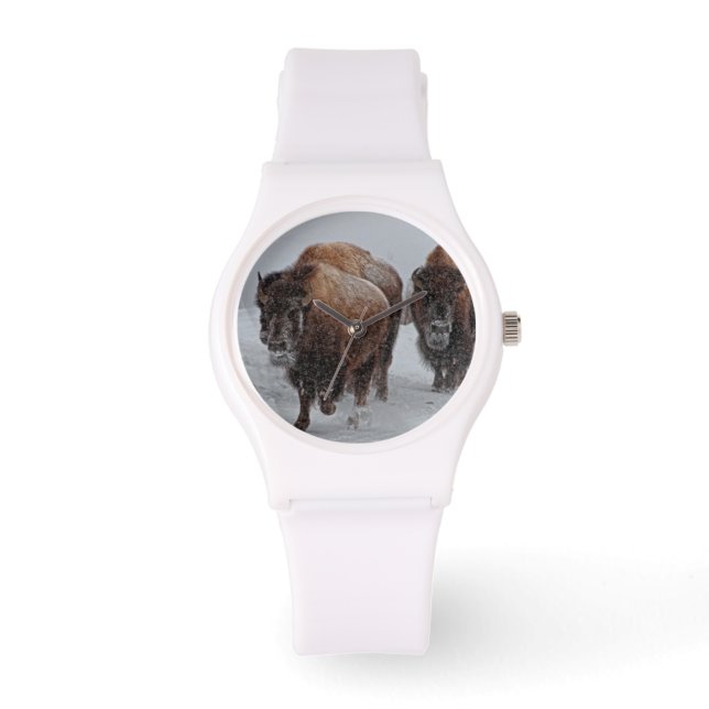 Montre Bison de Yellowstone (Recto)