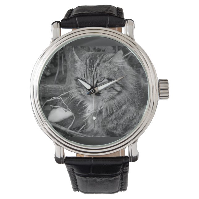Montre Black Maine Coon Cat Band (devant)