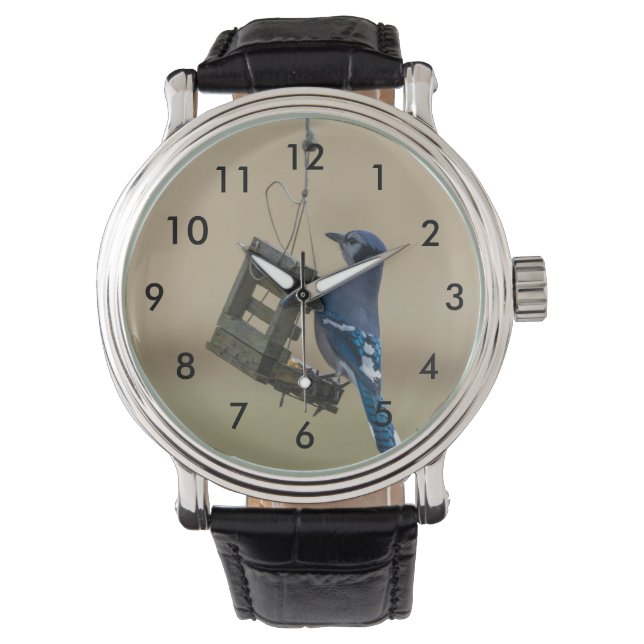 Montre Bleu Jay (devant)