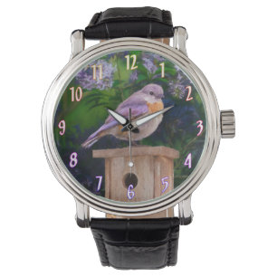 Montre Bleuet de l'Est en neige - Photo originale