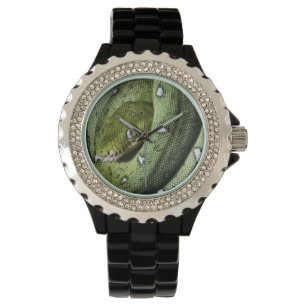 Montre Boa vert de serpent vert d'arbre en Bolivie