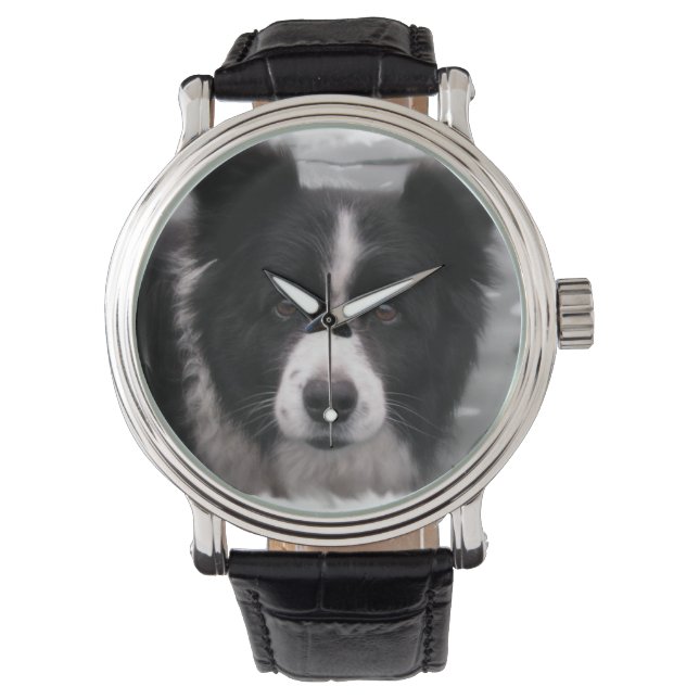 Montre Bordure Collie (devant)